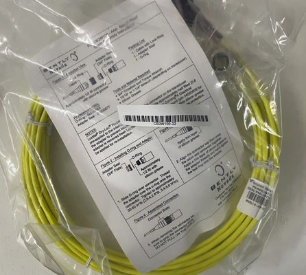 CB2W100-32 Bently Nevada Interconnect Kabel 32 voet 9,75 meter