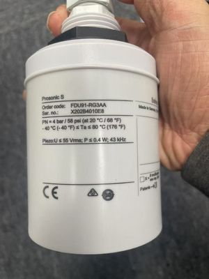 Endress Hauser FDU91-RGZAA ultrasone sensor voor niveau- en stroommeting voor aansluiting op FMU9x