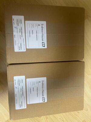 Endress Hauser FQR56-AAEAAXFA1 High Stability Signal Generator voor industriële meetsystemen