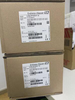 Endress Hauser FTL50-1DN80/0 Vibronische puntniveau schakelaar