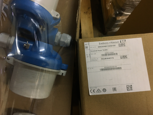 E+H TA30A-1KQ6/0 Aluminium eindkop